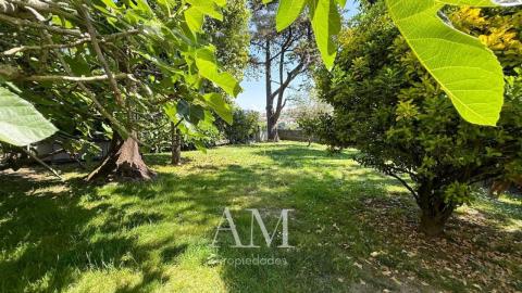 Casa o chalet independiente en venta en Subida Monte Lourido