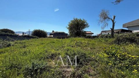 Terreno en calle Otero Pedrayo