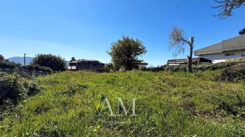 Terreno en calle Otero Pedrayo
